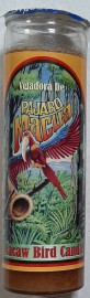Macaw Bird - Prepared