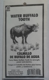 Water Buffalo Tooth